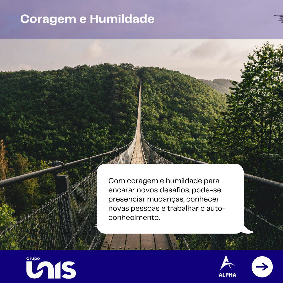 PVI-EM